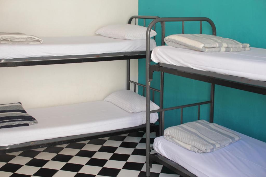 Posto Letto in Dormitorio con 4 Letti e Bagno in Comune